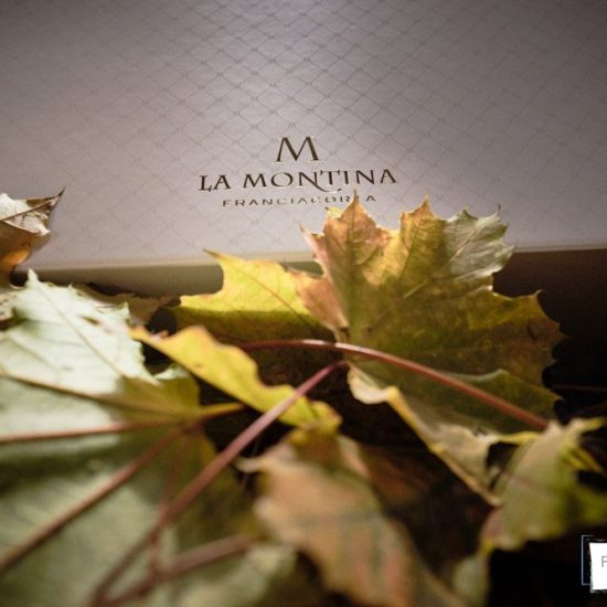 foto di allestimenti a brescia brescia 0027 550x550 - Servizi fotografici in Cantina