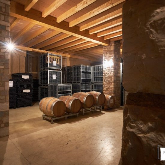 fotografia aziendale brescia 0063 550x550 - Servizi fotografici in Cantina