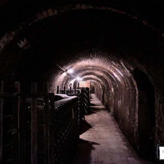 servizi fotografici in cantina franciacorta 0001 550x550 - Servizi fotografici in Cantina