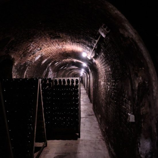 servizi fotografici in cantina franciacorta 0002 550x550 - Servizi fotografici in Cantina