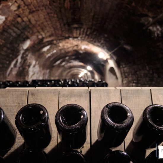 servizi fotografici in cantina franciacorta 0004 550x550 - Servizi fotografici in Cantina