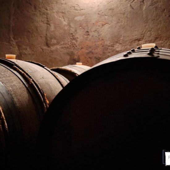 servizi fotografici in cantina franciacorta 0005 550x550 - Servizi fotografici in Cantina