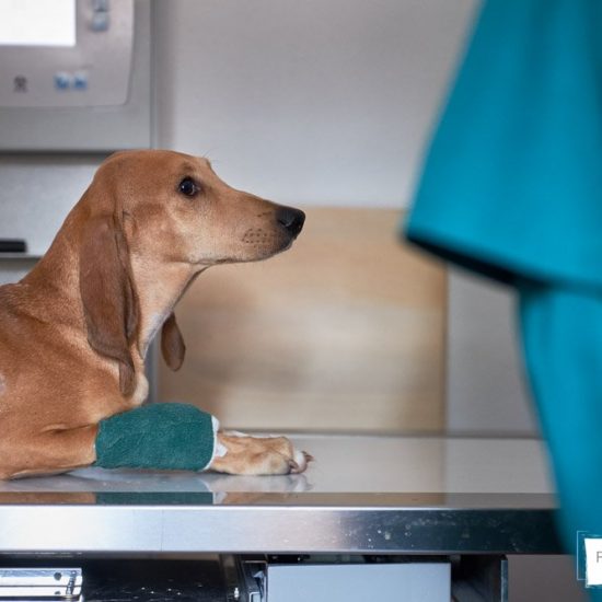 servizio fotografico aziendale brescia 0035 550x550 - Servizio fotografico aziendale a Brescia