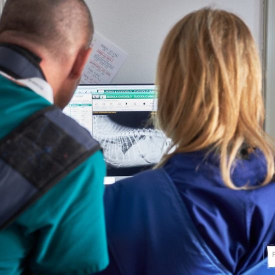 servizio fotografico aziendale brescia 0036 550x550 - Servizio fotografico aziendale a Brescia