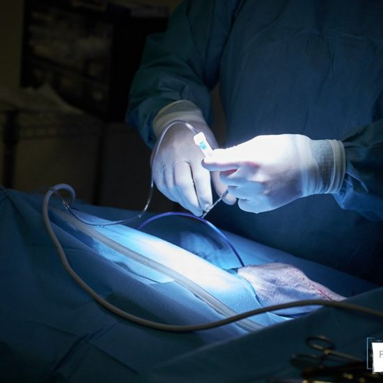 servizio fotografico aziendale brescia 0043 550x550 - Servizio fotografico aziendale a Brescia