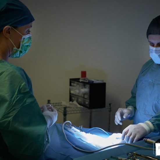 servizio fotografico aziendale brescia 0044 550x550 - Servizio fotografico aziendale a Brescia