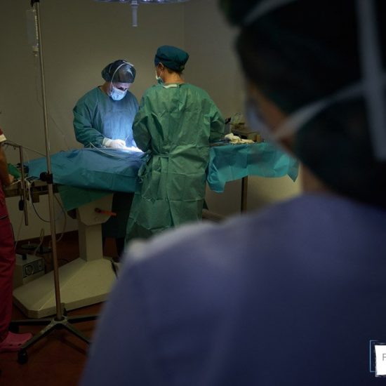 servizio fotografico aziendale brescia 0045 550x550 - Servizio fotografico aziendale a Brescia