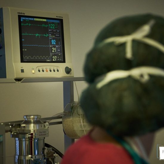 servizio fotografico aziendale brescia 0046 550x550 - Servizio fotografico aziendale a Brescia